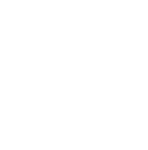 Full Logo Negative